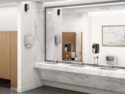 500Mlautofoam Picture